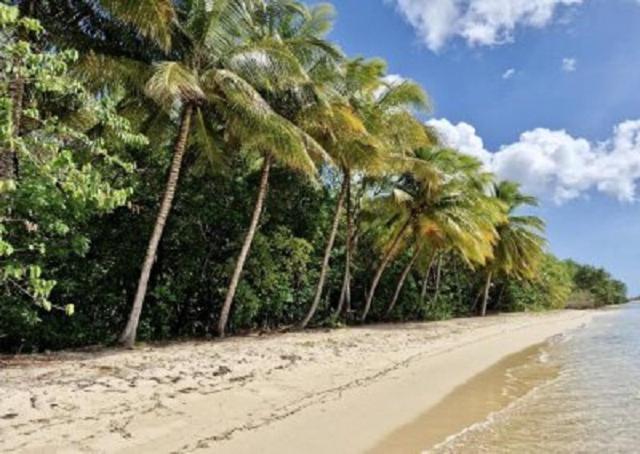 Touloukaera Appt 303 Plage Kawann Saint-Louis 外观 照片