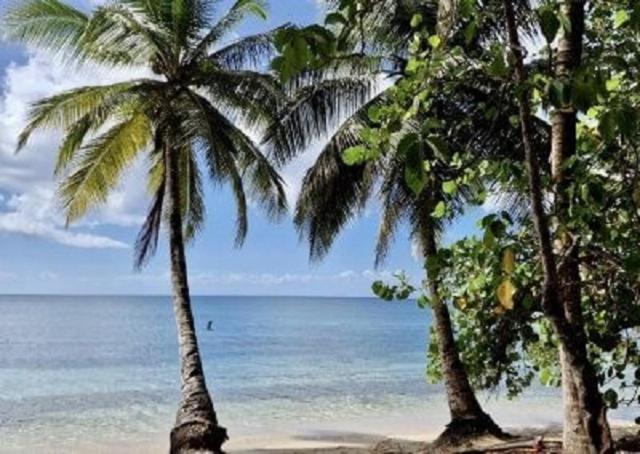 Touloukaera Appt 303 Plage Kawann Saint-Louis 外观 照片
